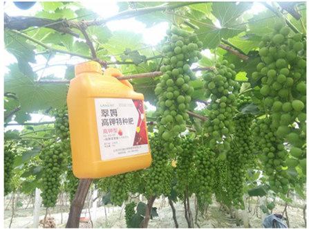 水溶肥,肥料 水溶肥,肥料