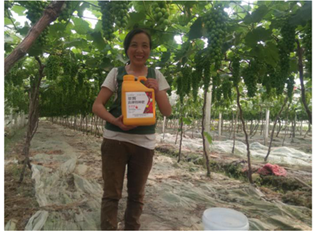 水溶肥,肥料 水溶肥,肥料