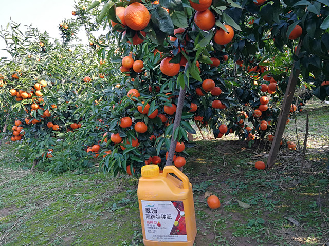 沖施肥,水溶肥,拉姆拉 沖施肥,水溶肥,拉姆拉