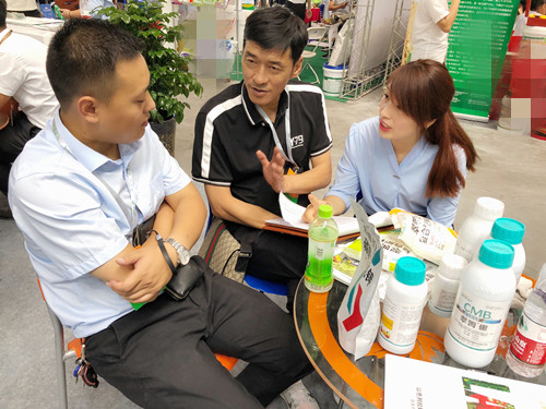 新疆農(nóng)博會(huì),拉姆拉 新疆農(nóng)博會(huì),拉姆拉