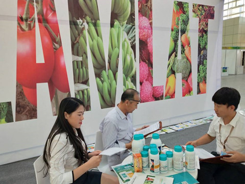 寧夏農(nóng)業(yè)科技博覽會,拉姆拉 寧夏農(nóng)業(yè)科技博覽會,拉姆拉