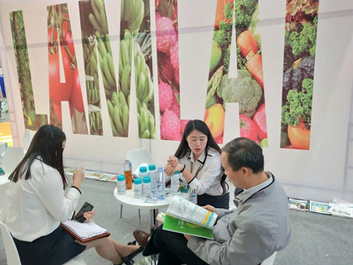 寧夏農(nóng)業(yè)科技博覽會,拉姆拉 寧夏農(nóng)業(yè)科技博覽會,拉姆拉