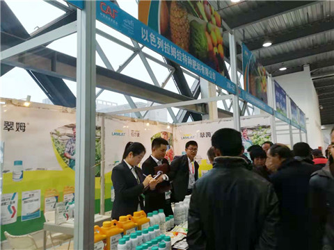 楊凌農(nóng)高會,拉姆拉 楊凌農(nóng)高會,拉姆拉