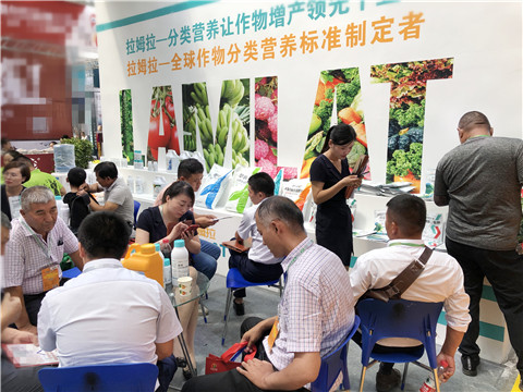 新疆，植保會(huì)，拉姆拉，翠姆，伯示麥