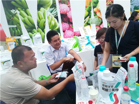 新疆，植保會(huì)，拉姆拉，翠姆，伯示麥