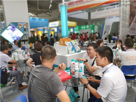 新疆，植保會(huì)，拉姆拉，翠姆，伯示麥