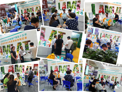 新疆，植保會(huì)，拉姆拉，翠姆，伯示麥