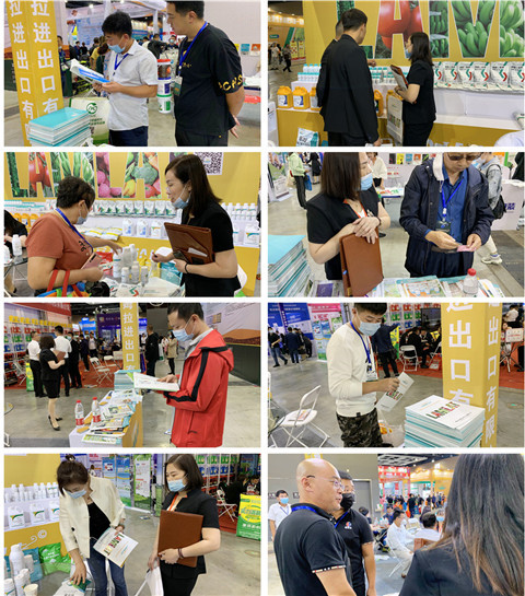 植保會(huì)，拉姆拉，翠姆