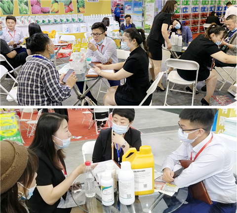 植保會(huì)，拉姆拉，翠姆