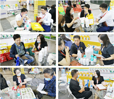 植保會(huì)，拉姆拉，翠姆