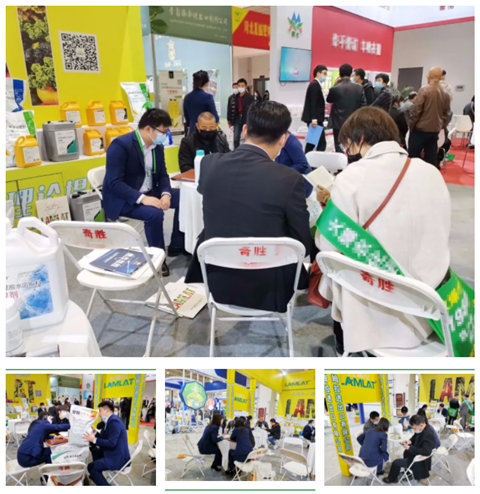 水溶肥，拉姆拉，翠姆