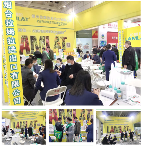 水溶肥，拉姆拉，翠姆