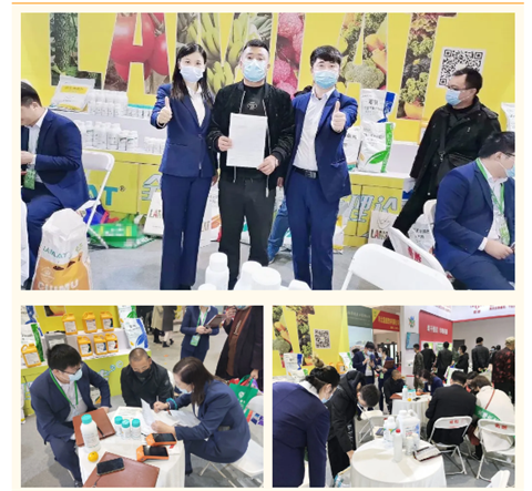 水溶肥，拉姆拉，翠姆