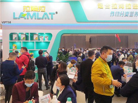 進口水溶肥，拉姆拉，翠姆