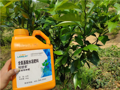 沖施肥，拉姆拉，翠姆