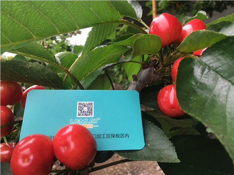 大量元素水溶肥，拉姆拉，翠姆