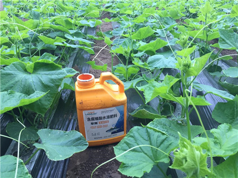 作物施肥管理，拉姆拉，翠姆