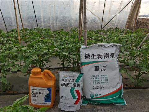 水溶肥，拉姆拉，翠姆