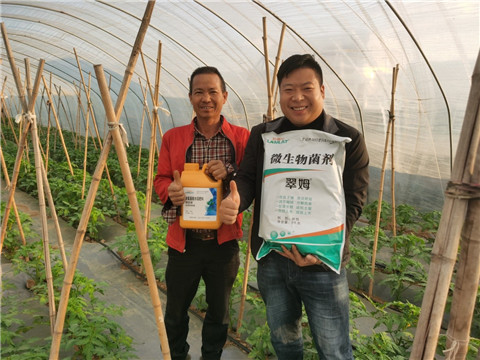 水溶肥，拉姆拉，翠姆