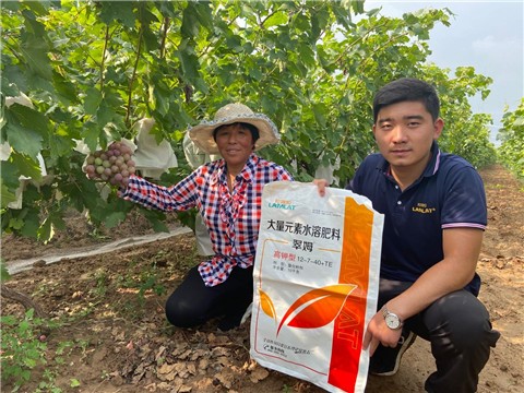 大量元素水溶肥，拉姆拉，翠姆