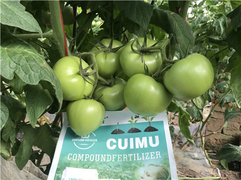 水溶肥，拉姆拉，翠姆