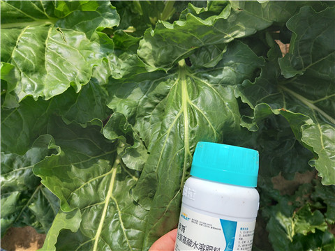 水溶肥，拉姆拉，翠姆