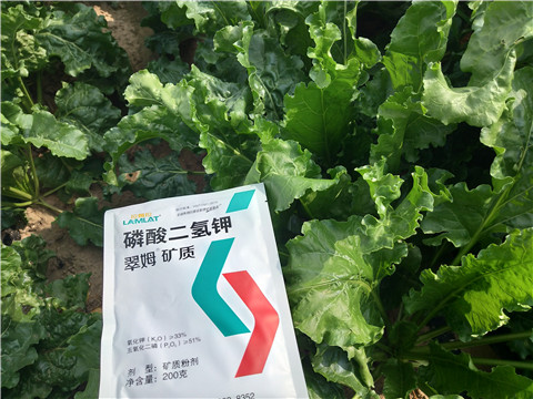 水溶肥，拉姆拉，翠姆