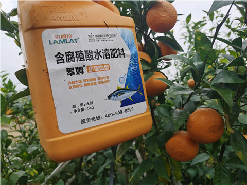 水溶肥，拉姆拉，翠姆