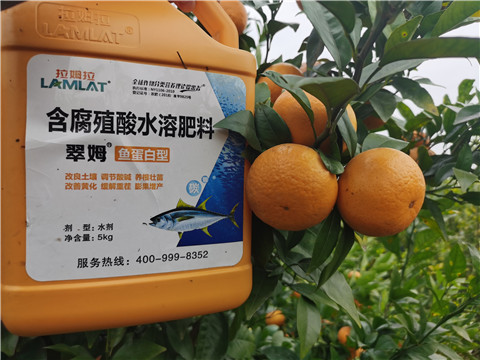 水溶肥，拉姆拉，翠姆