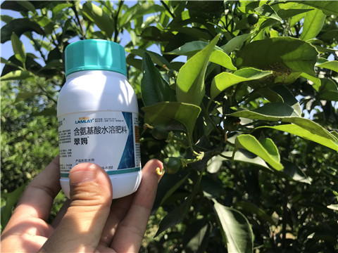 葉面肥，拉姆拉，翠姆