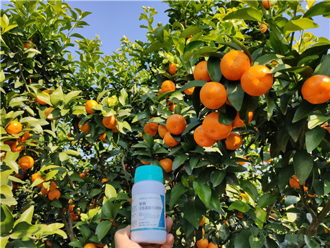 葉面肥，拉姆拉，翠姆