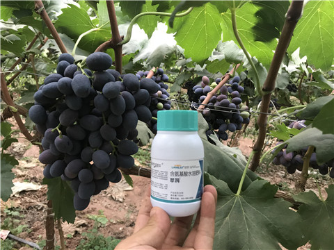 進口水溶肥，拉姆拉，翠姆