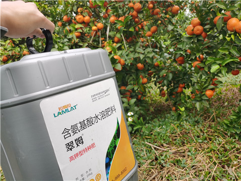 水溶肥，拉姆拉，翠姆