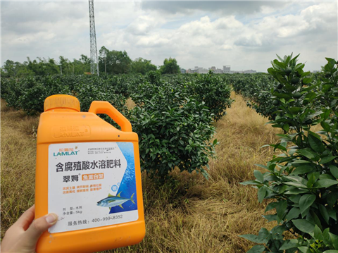 水溶肥，拉姆拉，翠姆
