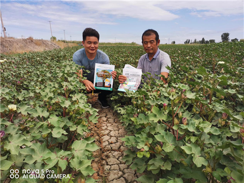水溶肥，拉姆拉，翠姆