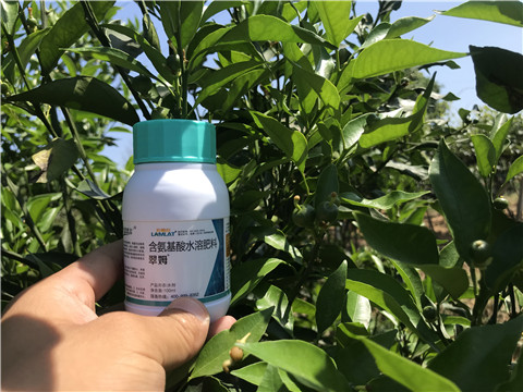 葉面肥，拉姆拉，翠姆