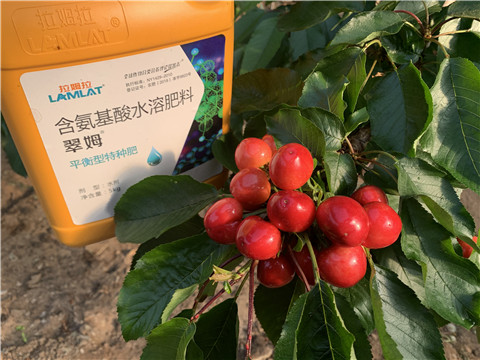 氨基酸水溶肥，拉姆拉，翠姆