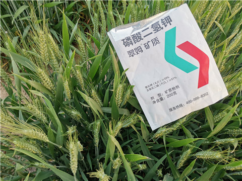 水溶肥，拉姆拉，翠姆