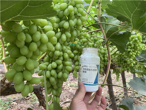 水溶肥，翠姆，拉姆拉