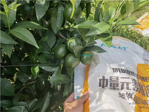 水溶肥，翠姆，拉姆拉