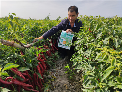 水溶肥，翠姆，拉姆拉