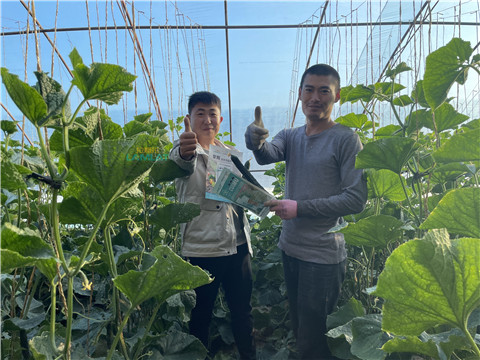 水溶肥，翠姆，拉姆拉