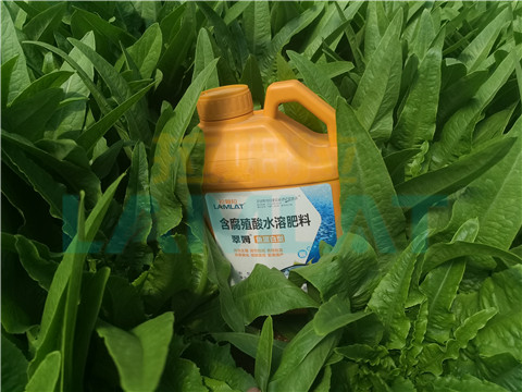 水溶肥，翠姆，拉姆拉