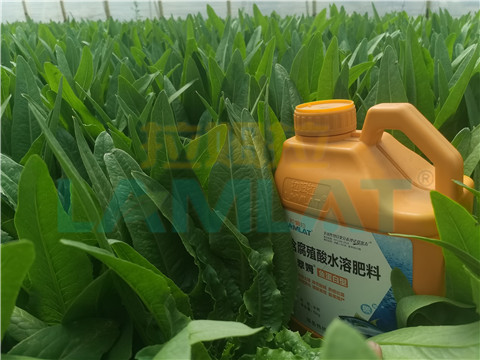 水溶肥，翠姆，拉姆拉