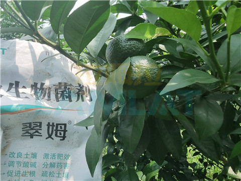 微生物菌劑，翠姆，拉姆拉