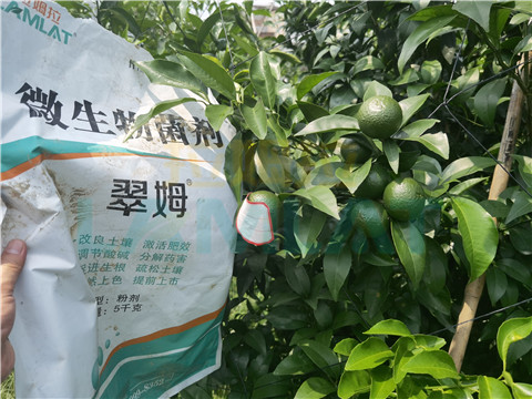 微生物菌劑，翠姆，拉姆拉