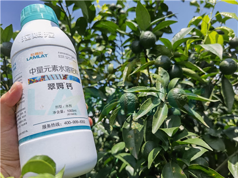 水溶肥，拉姆拉，翠姆