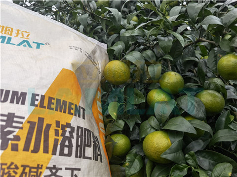 水溶肥，拉姆拉，翠姆