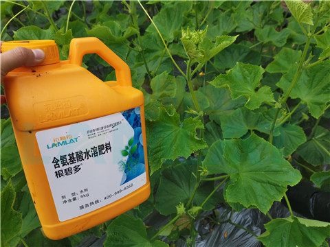 水溶肥，拉姆拉，翠姆