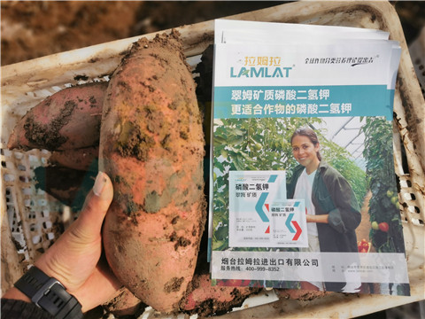 水溶肥，拉姆拉，翠姆